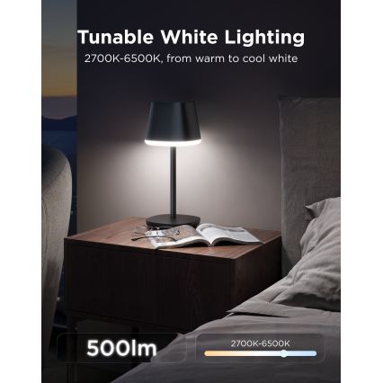 Govee - LED RGBICWW Dimbare tafellamp CLASSIC MATTER LED/10W/5V 4800mAh Wi-Fi