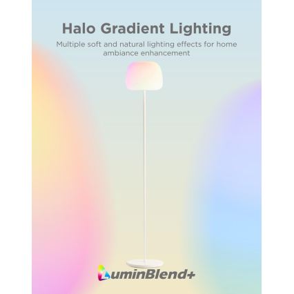 Govee - LED RGBICWW Dimbare vloerlamp LANTERN MATTER LED/24W/230V Wi-Fi 160 cm