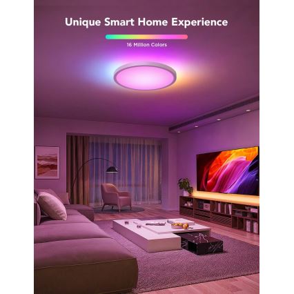 Govee - Plafonnier LED RGBICWW dimmable 29W/230V Ø 30 cm, finition mate, Wi‑Fi
