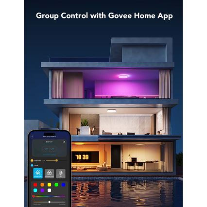 Govee - Plafonnier LED RGBICWW dimmable 29W/230V Ø 30 cm, finition mate, Wi‑Fi