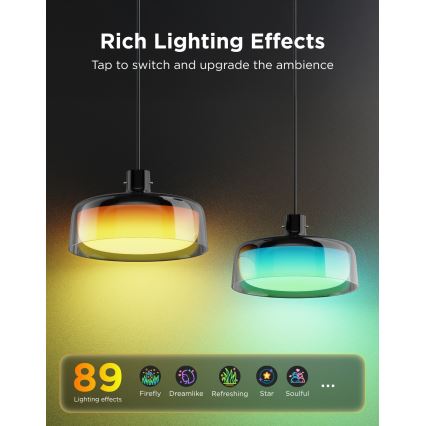 Govee - LED RGBICWW suspension dimmable sur câble LED/21W/230V mat Wi‑Fi