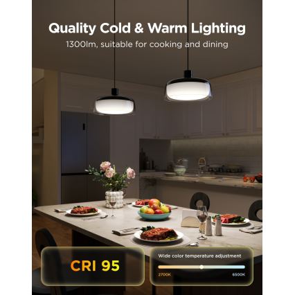 Govee - LED RGBICWW suspension dimmable sur câble LED/21W/230V mat Wi‑Fi