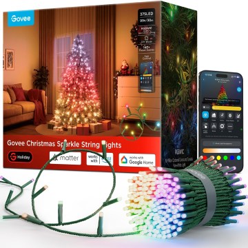 Govee - LED RGBWIC buiten kerstverlichting 2700-6500K 30m Wi-Fi Matter IP65