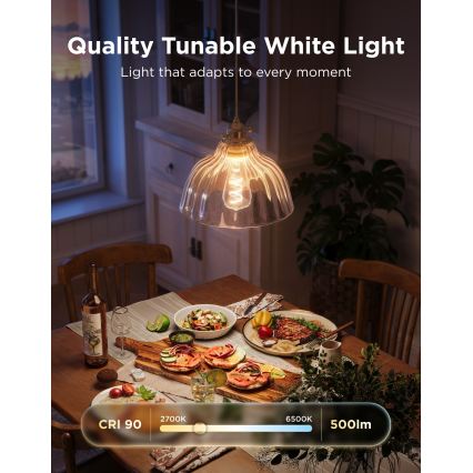 Govee - LED RGBWW dimbare lamp Smart MATTER ST64 E27/5W/230V 2700-6500K Wi-Fi