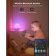 Govee - RGBIC Night Smart LED verlichting met een luidspreker Wi-Fi