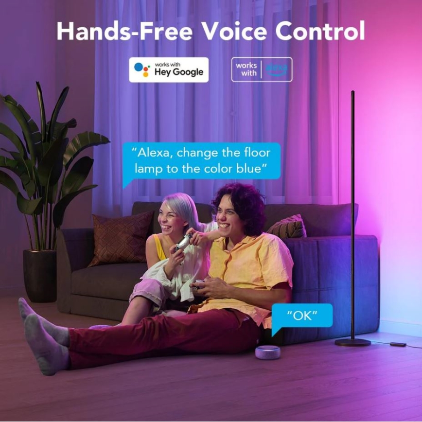 Govee - RGBICW Smart Hoek Floor Lamp Wi-Fi