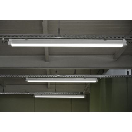 Greenlux GXWP380 - Tube fluorescent industriel LED DUST PROFI MILK LED/30W/230V 4000K IP66