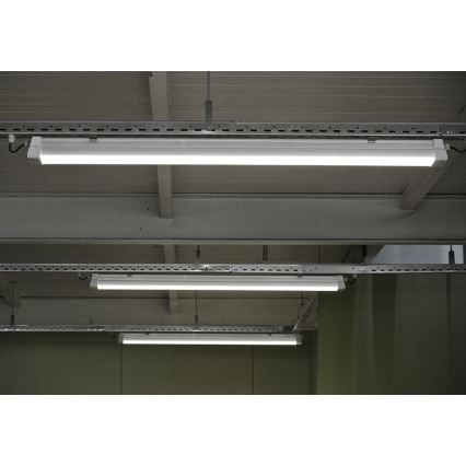 Greenlux GXWP381 - LED Technische TL-armatuur DUST PROFI MILK LED/53W/230V 4000K IP66