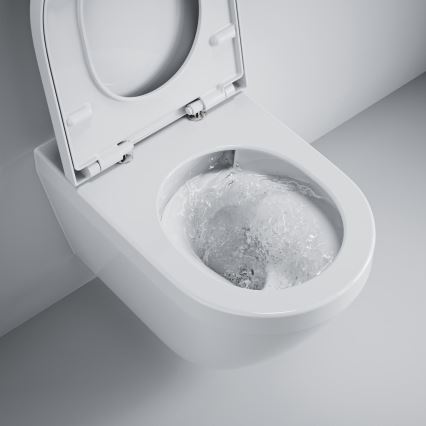 GROHE 102513SH00 - EURO CERAMIC complete toiletcombinatie 67,3 x 37,6 x 79,2 cm keramiek/wit