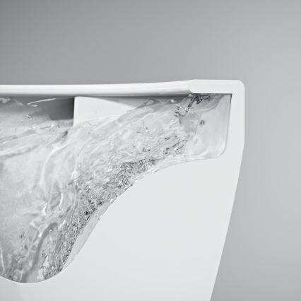 GROHE 102513SH00 - EURO CERAMIC complete toiletcombinatie 67,3 x 37,6 x 79,2 cm keramiek/wit