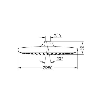 GROHE 26815000 - Tête de douche VITALIO START O 250 mm chrome brillant