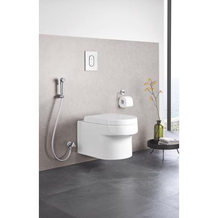 GROHE 27512001 - Handdouche TEMPESTA-F TRIGGER SPRAY 30 36 mm glanzend chroom
