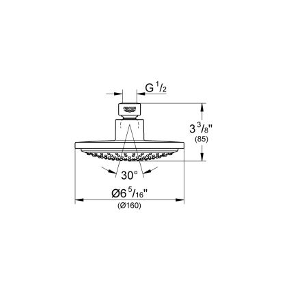GROHE 28233000 - Hoofddouche EUPHORIA COSMOPOLITAN 160 glanzend chroom