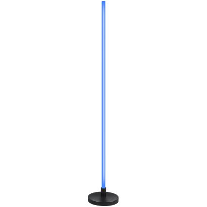 Grundig - LED RGB dimbare vloerlamp LED/5W/5V + afstandsbediening