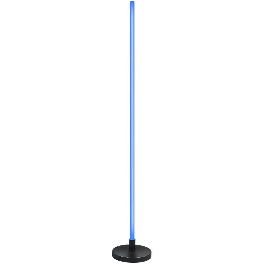 Grundig - LED RGB dimbare vloerlamp LED/5W/5V + afstandsbediening