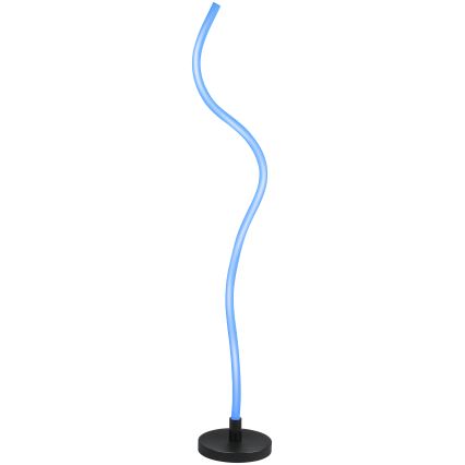 Grundig - LED RGB dimbare vloerlamp LED/5W/5V + afstandsbediening