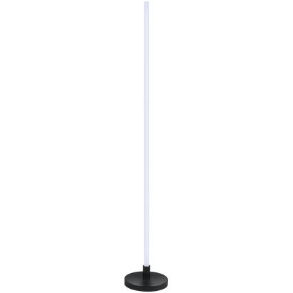 Grundig - LED RGB dimbare vloerlamp LED/5W/5V + afstandsbediening