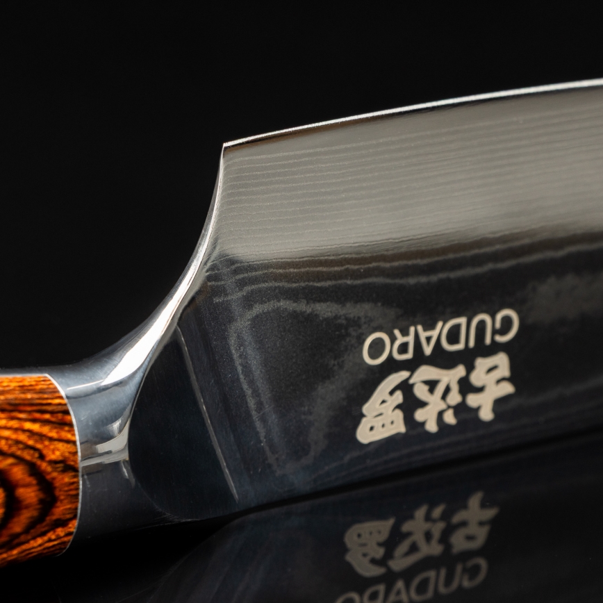 Gudaro - Couteau de chef damassé FENG 8, 67 couches d'acier, lame 20 cm