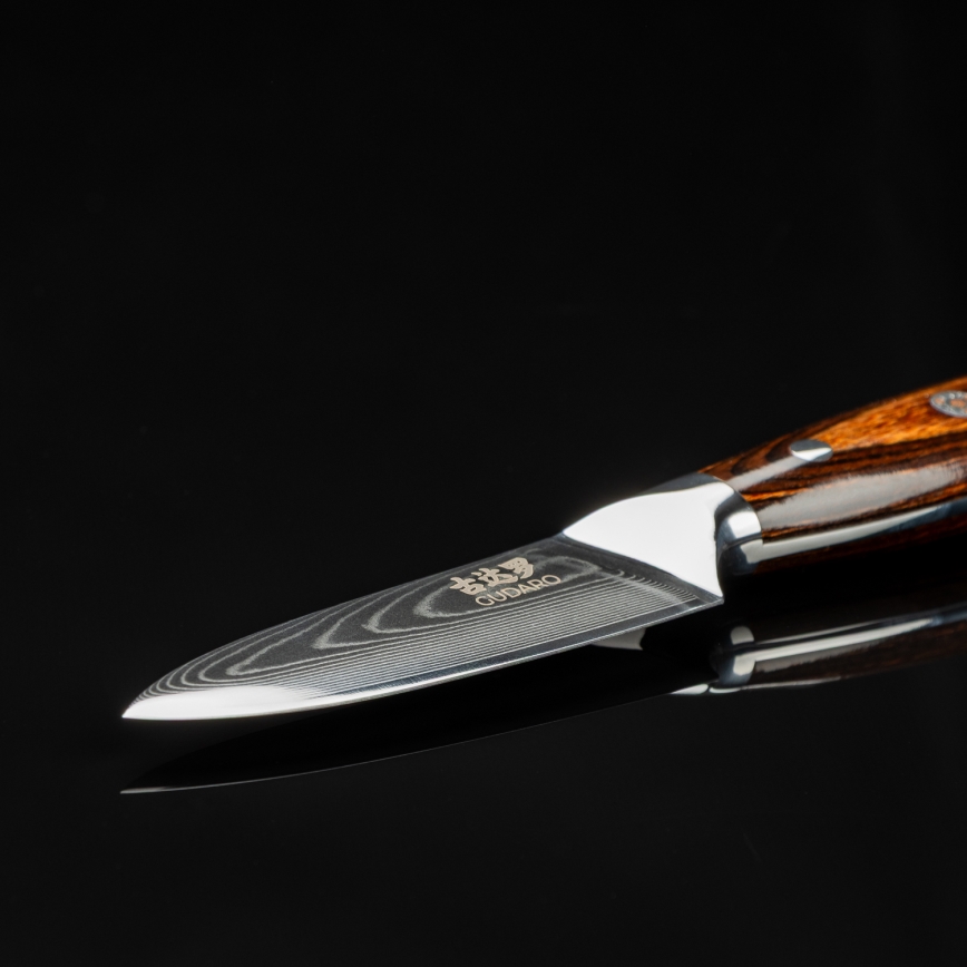 Gudaro - Couteau de cuisine en acier damassé FENG 3,5, 67 couches d'acier, longueur 9,5 cm