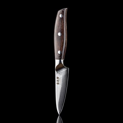 Gudaro - Couteau de cuisine en acier damassé SHIRO 3,5, 67 couches d'acier, longueur 9,5 cm