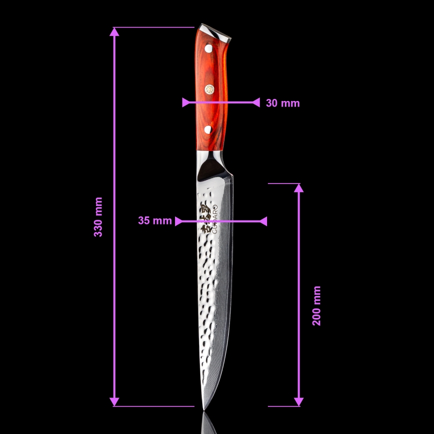 Gudaro - Damast trancheermes MIYABI 8, 67-laags damaststaal, lemmetlengte 20 cm