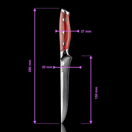 Gudaro - Damast uitbeenmes KENSHO 6, 67 lagen staal, lengte 15 cm