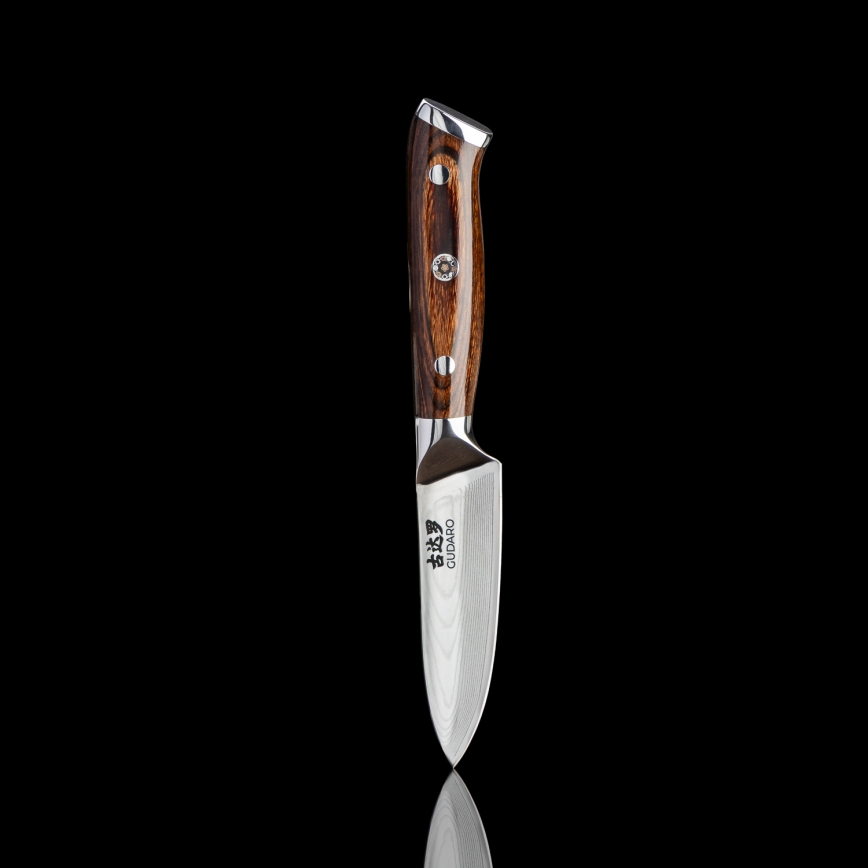 Gudaro - Lot de 2 couteaux de chef damassés FENG 8, 67 couches d'acier, lame 20 cm + 1 couteau de cuisine damassé FENG 3,5, 67 couches d'acier, lame 9,5 cm offert