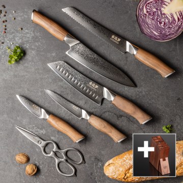 Gudaro-ENSEMBLE 5x Couteaux de cuisine en acier damassé TAKUMI + support pour couteaux et ciseaux à volaille