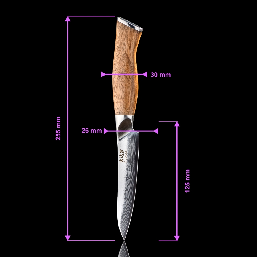 Gudaro - Ensemble de 5 couteaux de cuisine en acier damassé TAKUMI + support magnétique