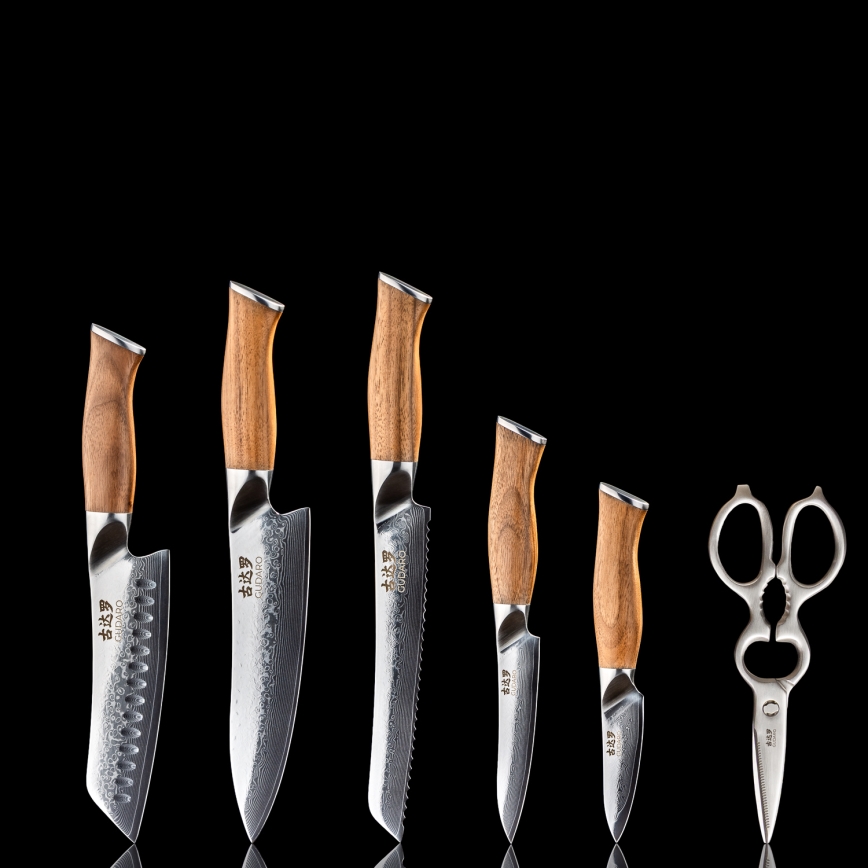 Gudaro - Ensemble de 5 couteaux de cuisine en acier damassé TAKUMI + support pour couteaux et ciseaux à volaille