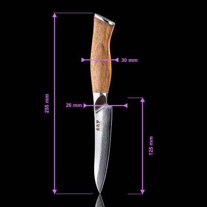 Gudaro - Ensemble de 5 couteaux de cuisine en acier damassé TAKUMI + support pour couteaux et ciseaux à volaille