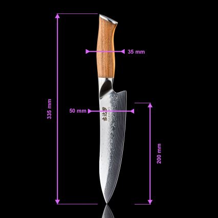Gudaro - Ensemble de 5 couteaux de cuisine en acier damassé TAKUMI + support pour couteaux et ciseaux à volaille