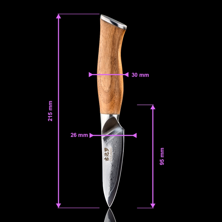 Gudaro - Ensemble de 5 couteaux de cuisine en acier damassé TAKUMI + support pour couteaux et ciseaux à volaille