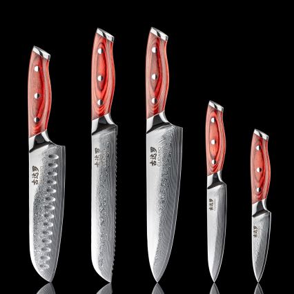 Gudaro - Lot de 5 couteaux de cuisine damassés KENSHO + support magnétique
