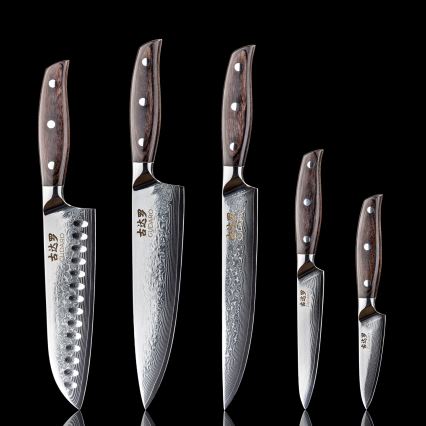 Gudaro - Lot de 5 couteaux de cuisine damassés SHIRO + support magnétique