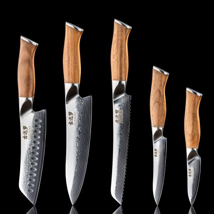 Gudaro - Lot de 5 couteaux de cuisine damassés TAKUMI + support magnétique