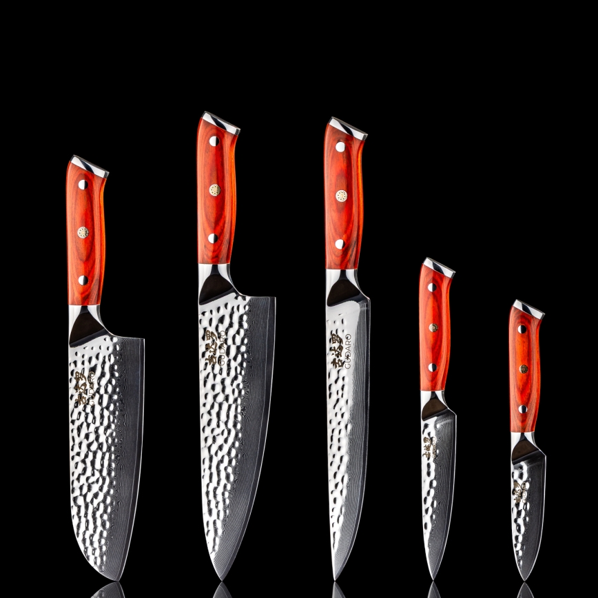 Gudaro - Set van 5 damast keukenmessen MIYABI + magnetische messenhouder