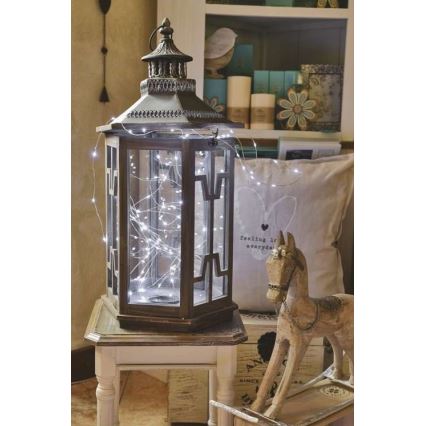 Guirlande de noël d'extérieur 100xLED/15m IP44 blanc froid