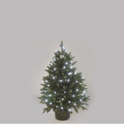 Guirlande de noël d'extérieur 40xLED/9m IP44 blanc froid