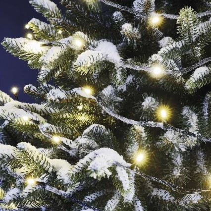 Guirlande de Noël extérieure 100xLED/10m IP44 blanc chaud