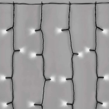 Guirlande de Noël extérieure 100xLED/1x2m IP44 blanc froid