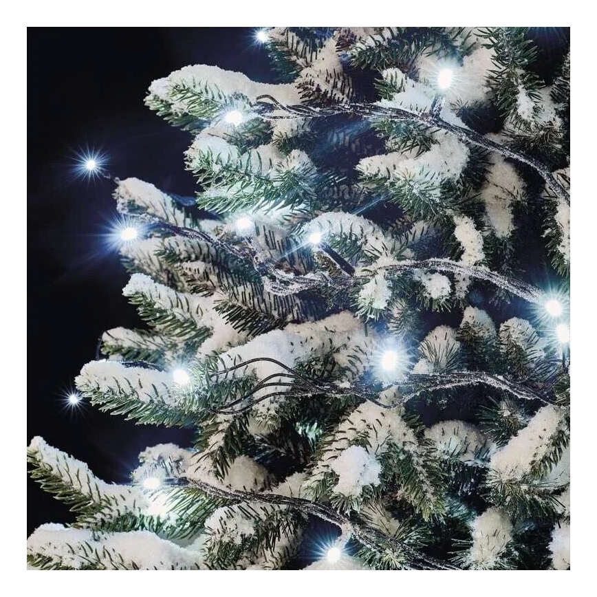 Guirlande de Noël extérieure 50xLED/5m IP44 blanc froid