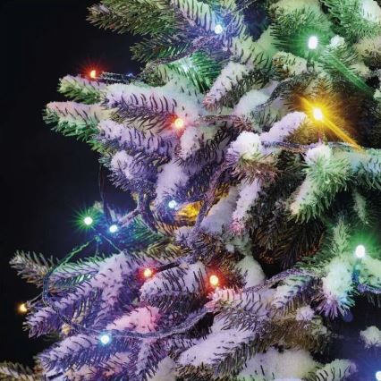Guirlande de Noël extérieure 50xLED/5m IP44 multicolore