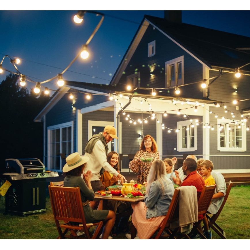 Guirlande décorative extérieure MIMOSA 10xE27/1,3W/230V IP44 10 m