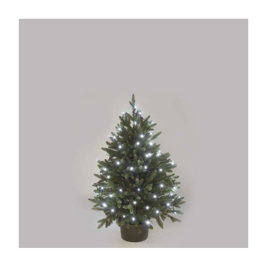 Guirlande LED d'extérieur 40 LED / 9 m IP44, blanc froid