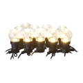 Guirlande lumineuse décorative LED d'extérieur 10xLED/10m IP44 transparente