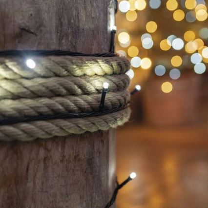 Guirlande lumineuse LED d'extérieur 50 LED / 5 m IP44 blanc froid