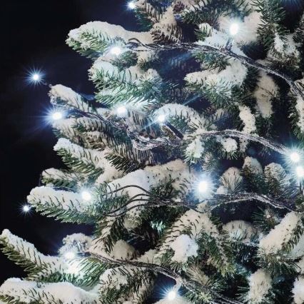 Guirlande lumineuse LED d'extérieur 50 LED / 5 m IP44 blanc froid