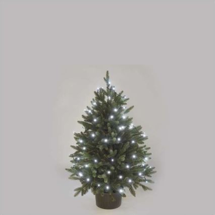 Guirlande lumineuse LED d'extérieur 80 LED / 13 m IP44, blanc froid