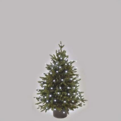 Guirlande lumineuse LED extérieure pour Noël — 80 LED, 8 fonctions, 13 m, blanc froid, IP44